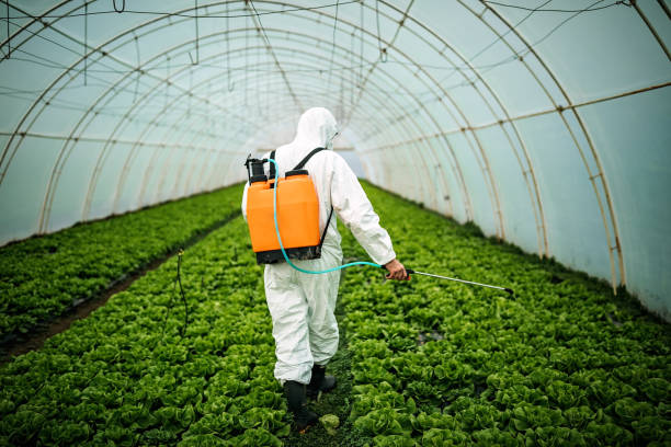 Best Insect Control  in Terrebonne, OR