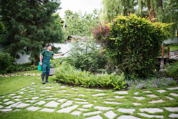 Best Local Pest Control Services  in Terrebonne, OR