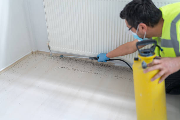 Reliable Terrebonne, OR Pest Control Solutions